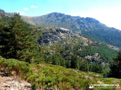 JUEVES Senderista - Cuerda de las Cabrillas y Valle de la Barranca;rutas senderismo la pedriza club 